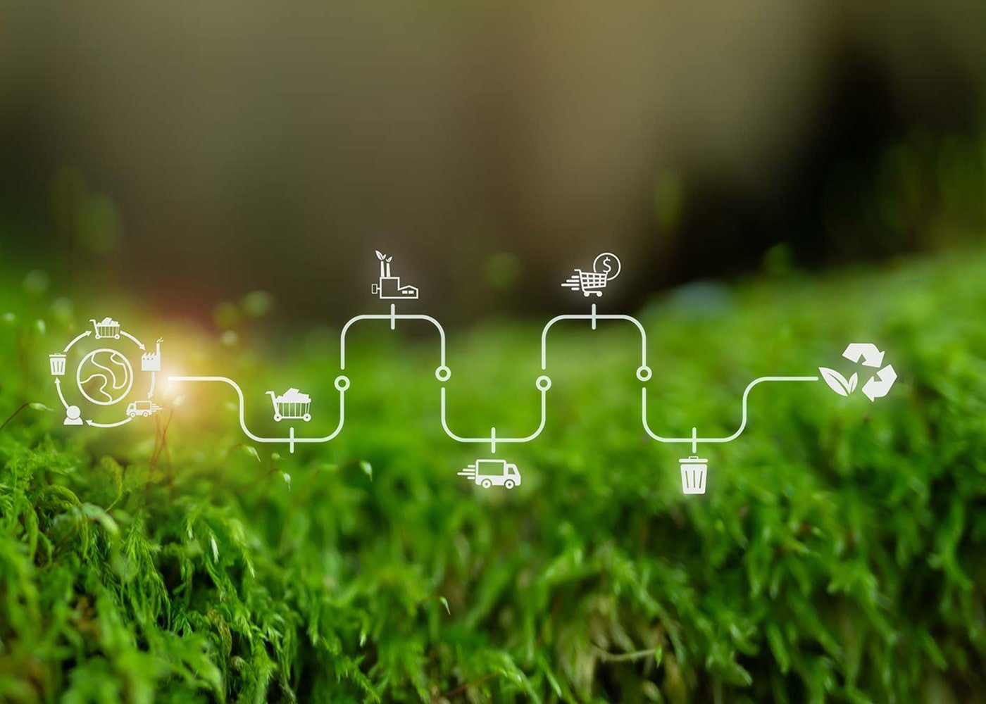 Eco Services
