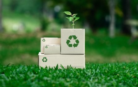 Types of waste and their impact on the environment