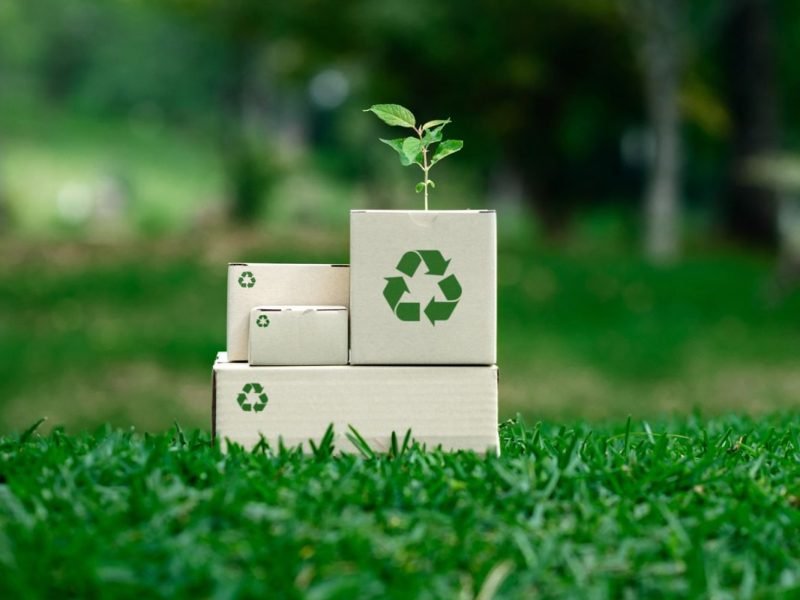 Types of waste and their impact on the environment